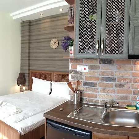 Guest Maria Luiza Βάρνα