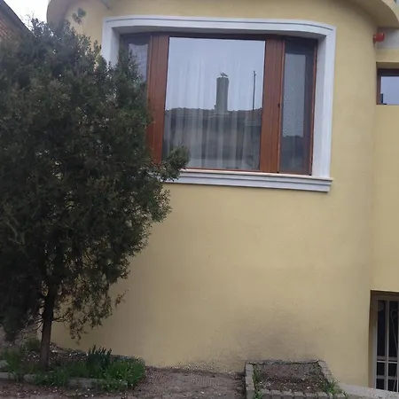 Guest Maria Luiza Varna