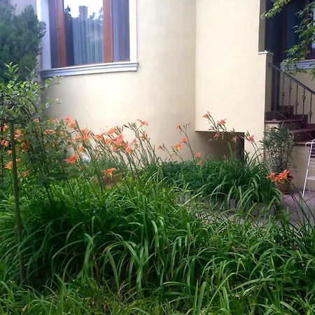 Πανσιόν Guest Maria Luiza