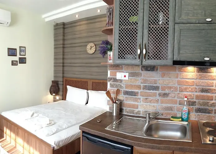 Guest Maria Luiza Varna