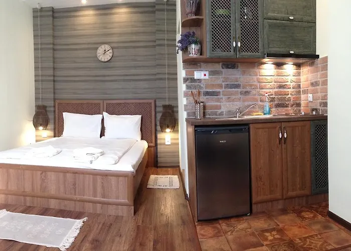 Guest Maria Luiza Varna