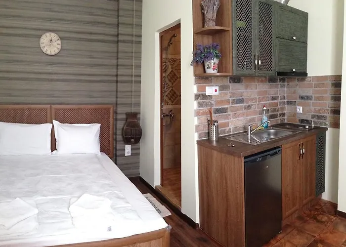 Guest Maria Luiza Pensionat