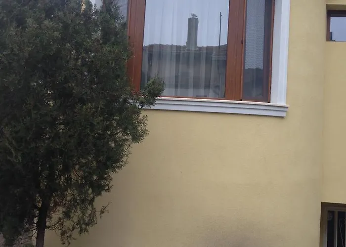 Guest Maria Luiza Varna