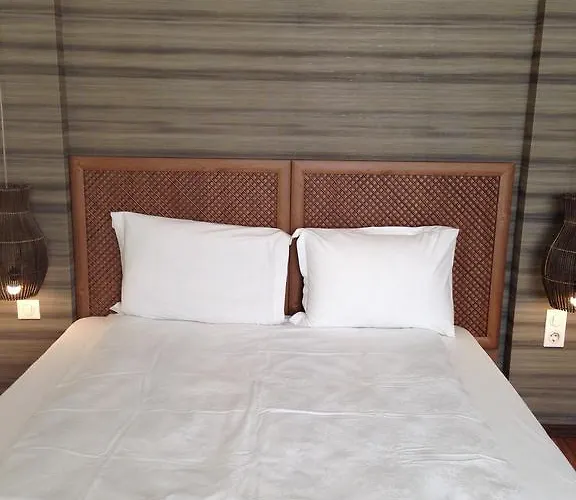 בית הארחה Guest Maria Luiza 3*